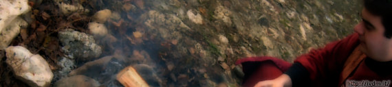 Banner_49